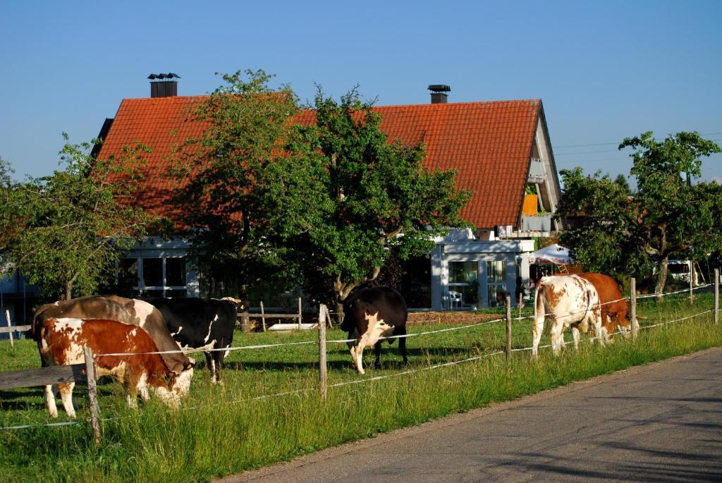 Wellnesshotel Schiesselhof Grafenhausen Pokoj fotografie
