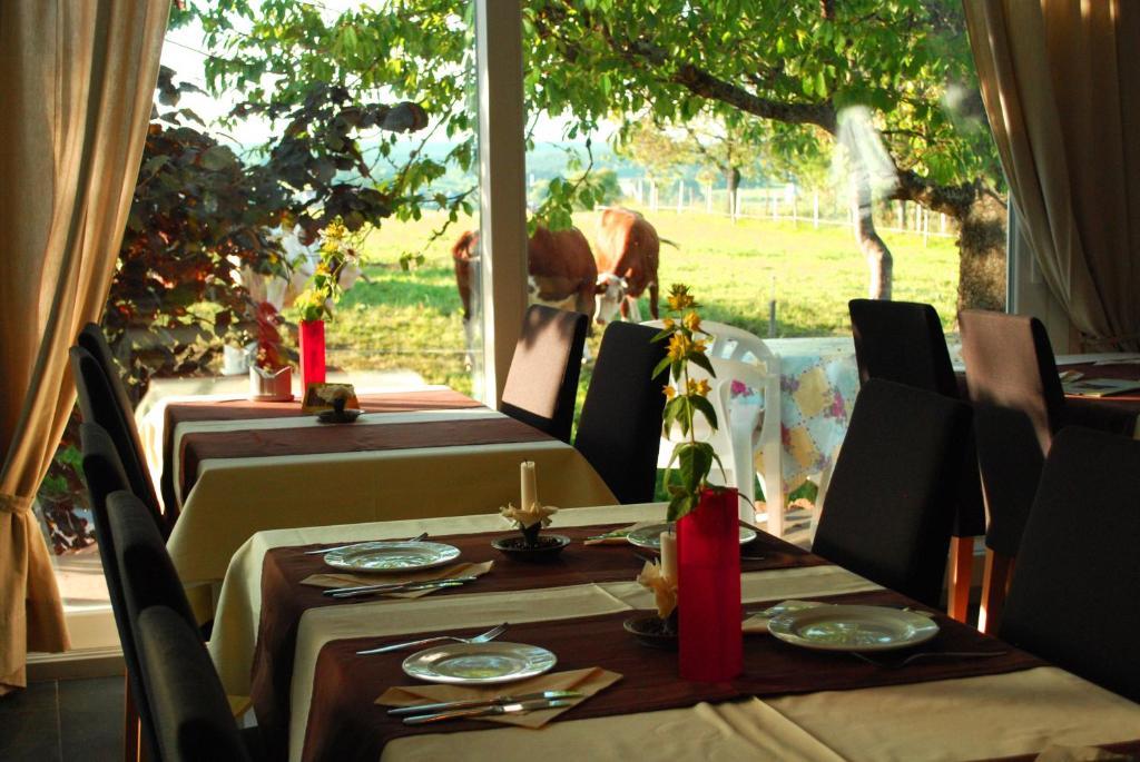 Wellnesshotel Schiesselhof Grafenhausen Pokoj fotografie
