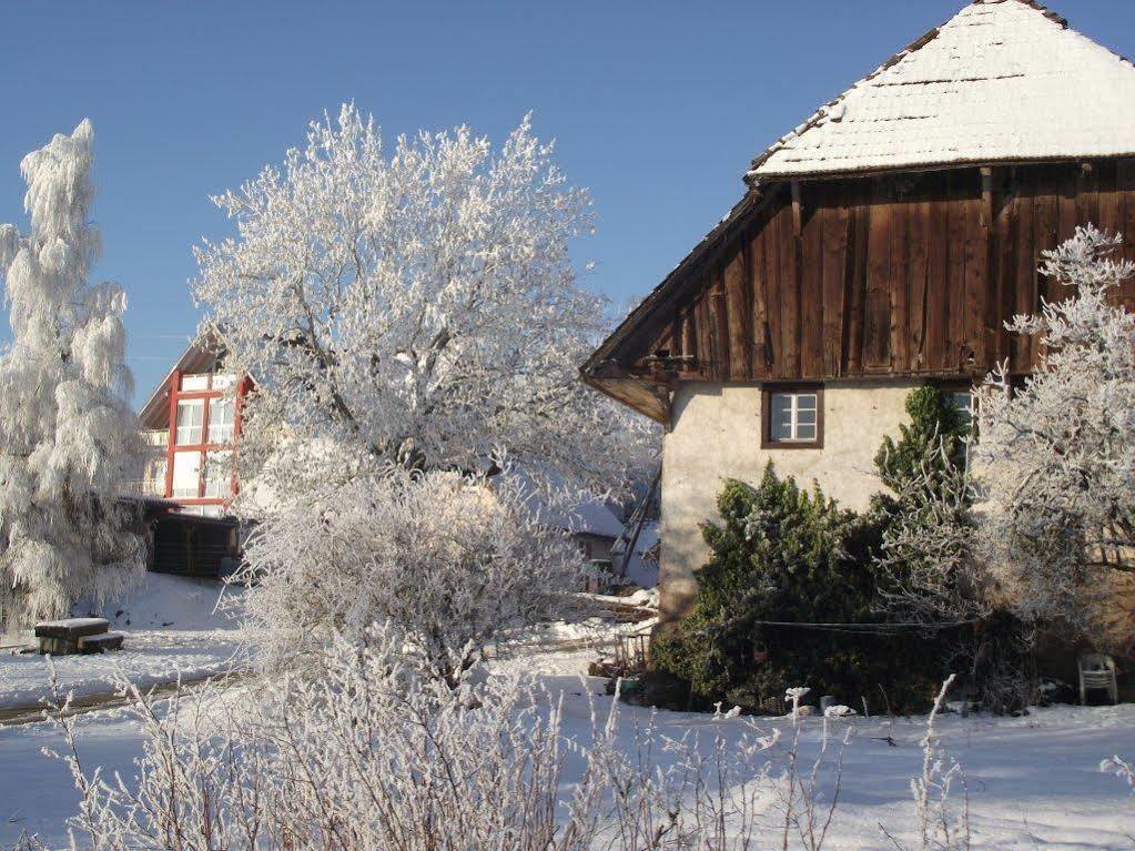 Wellnesshotel Schiesselhof Grafenhausen Exteriér fotografie